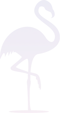 Life Insurance in Florida